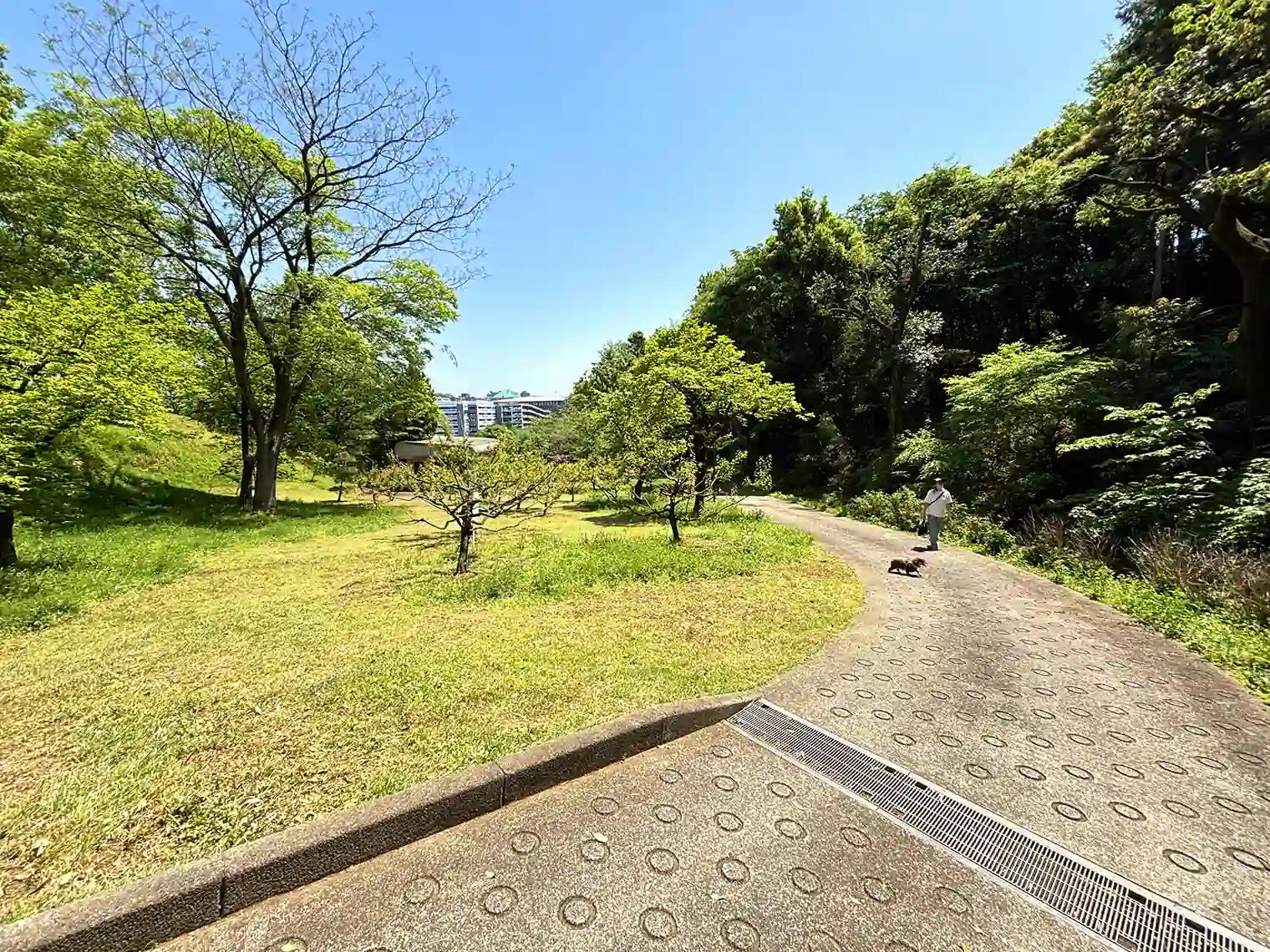 境田谷戸付近遊歩道