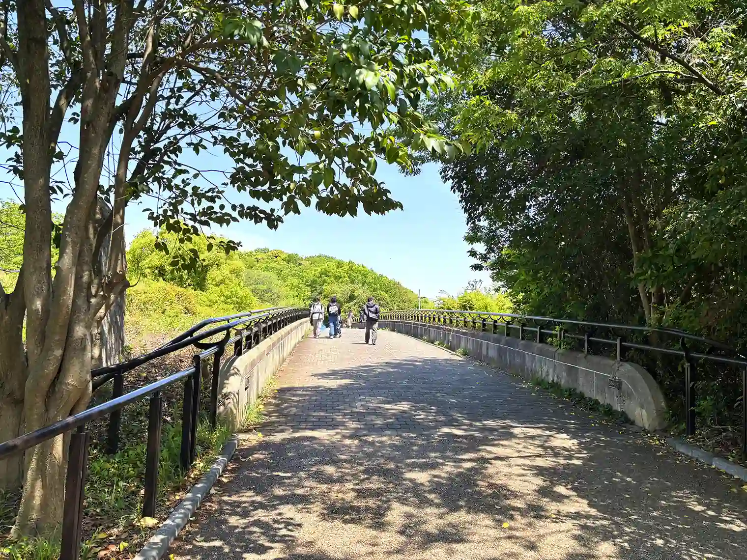 鴨池公園橋