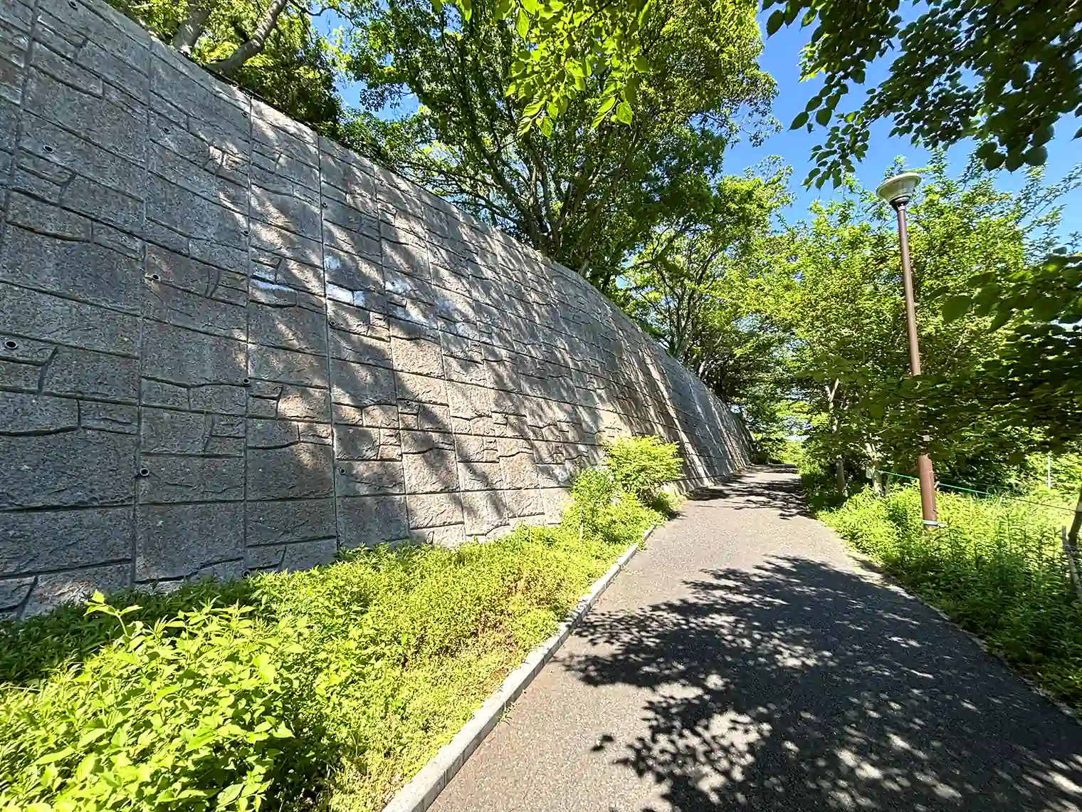 あそびの広場付近の遊歩道