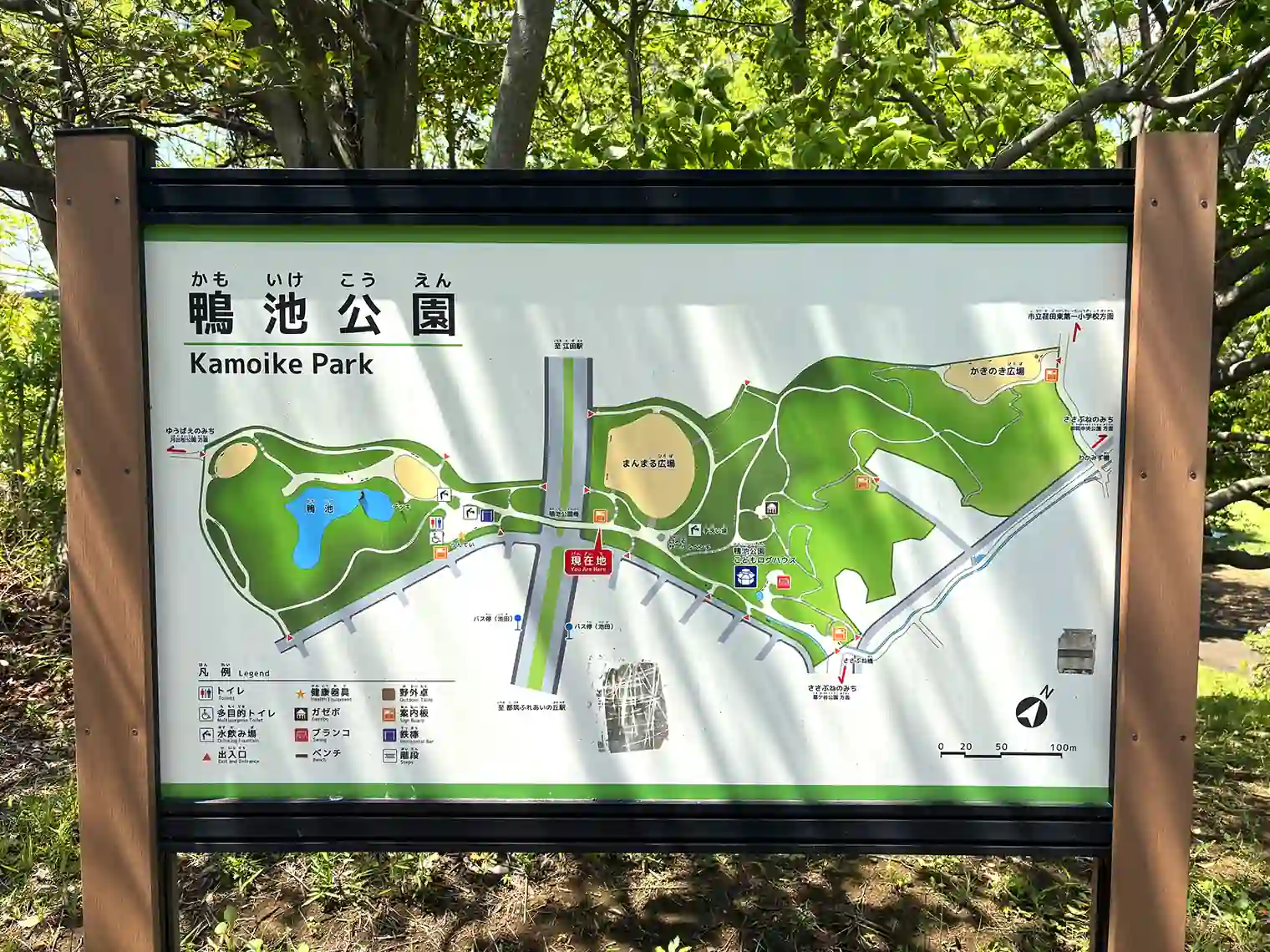 鴨池公園マップ