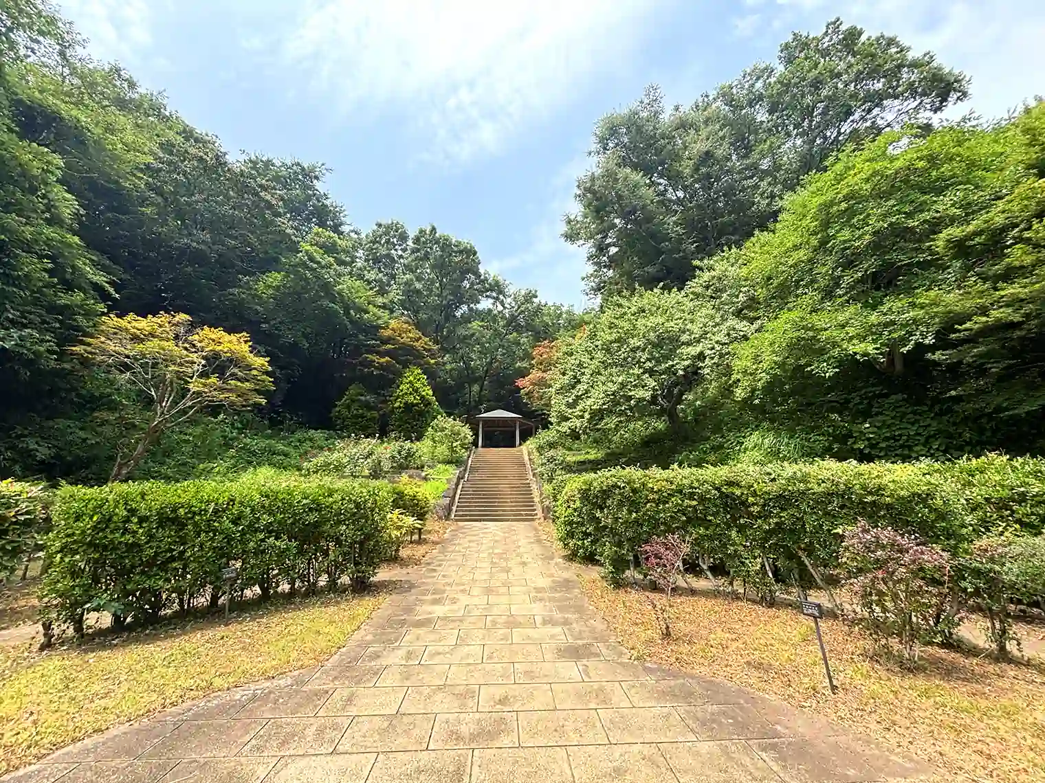 庭園植物園