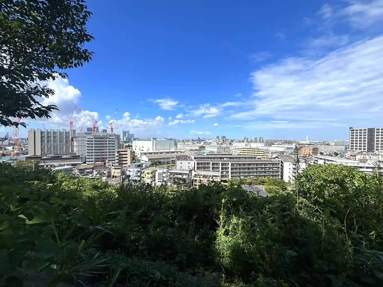 公園からの眺望