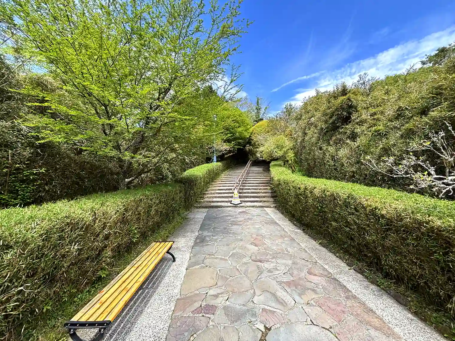 中央園路