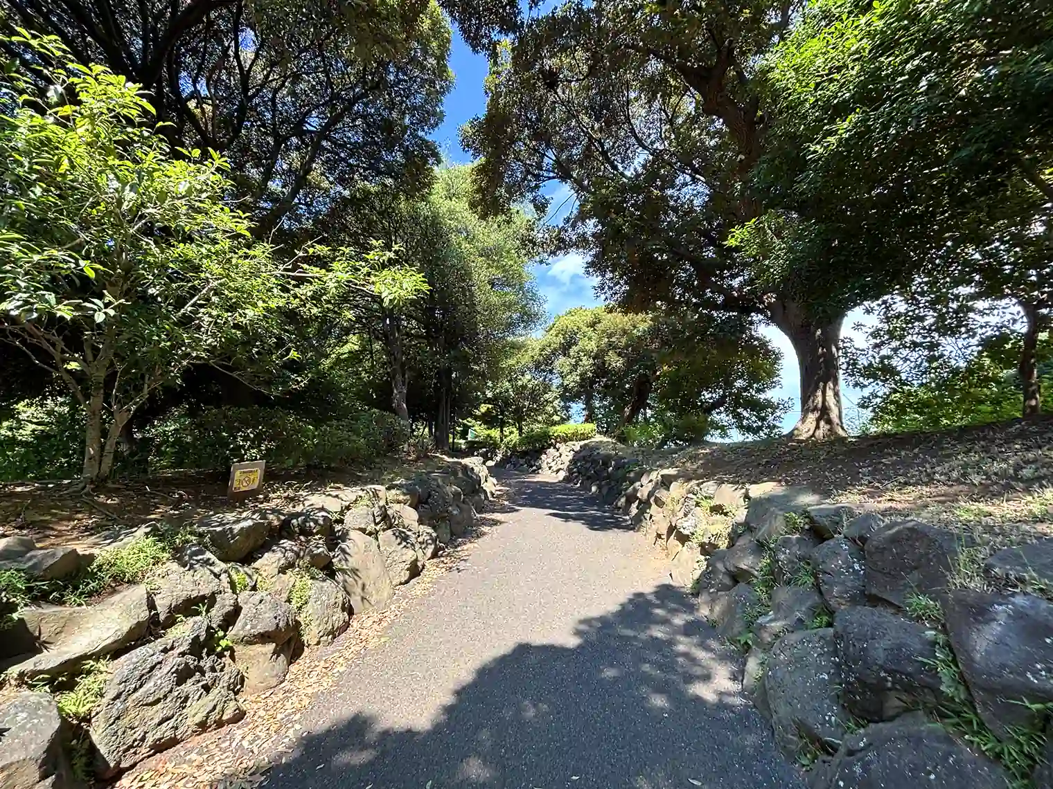 遊歩道（散策地区）