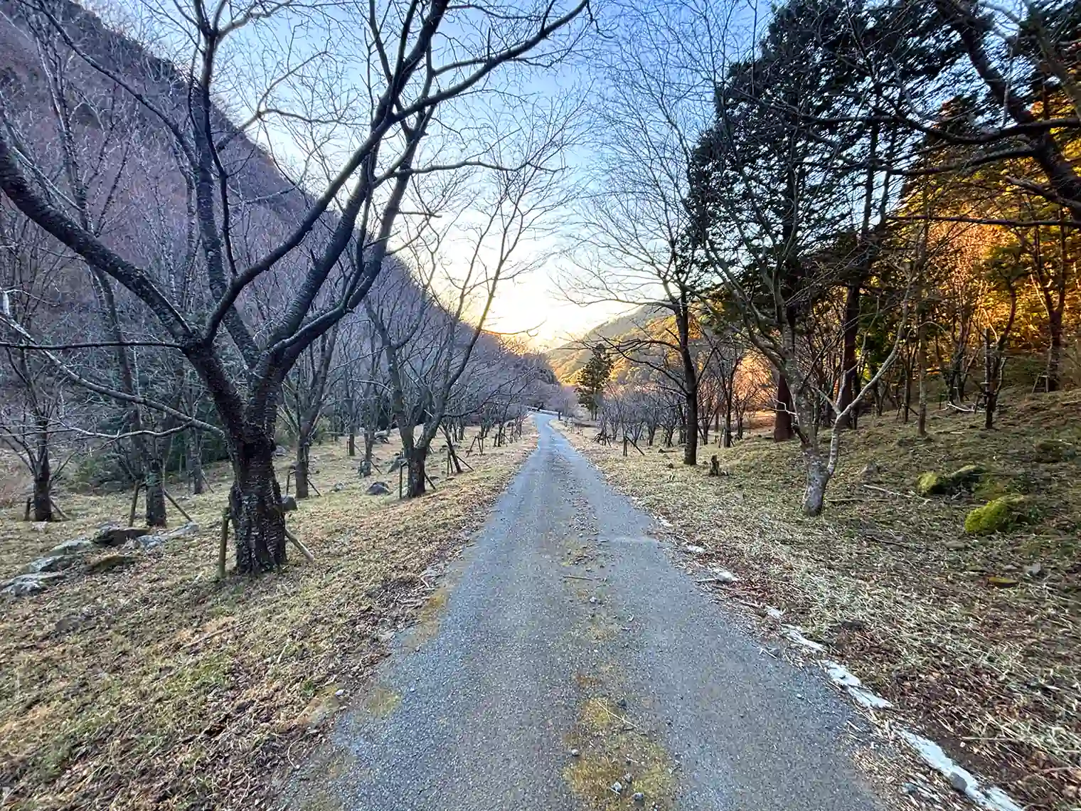 遊歩道