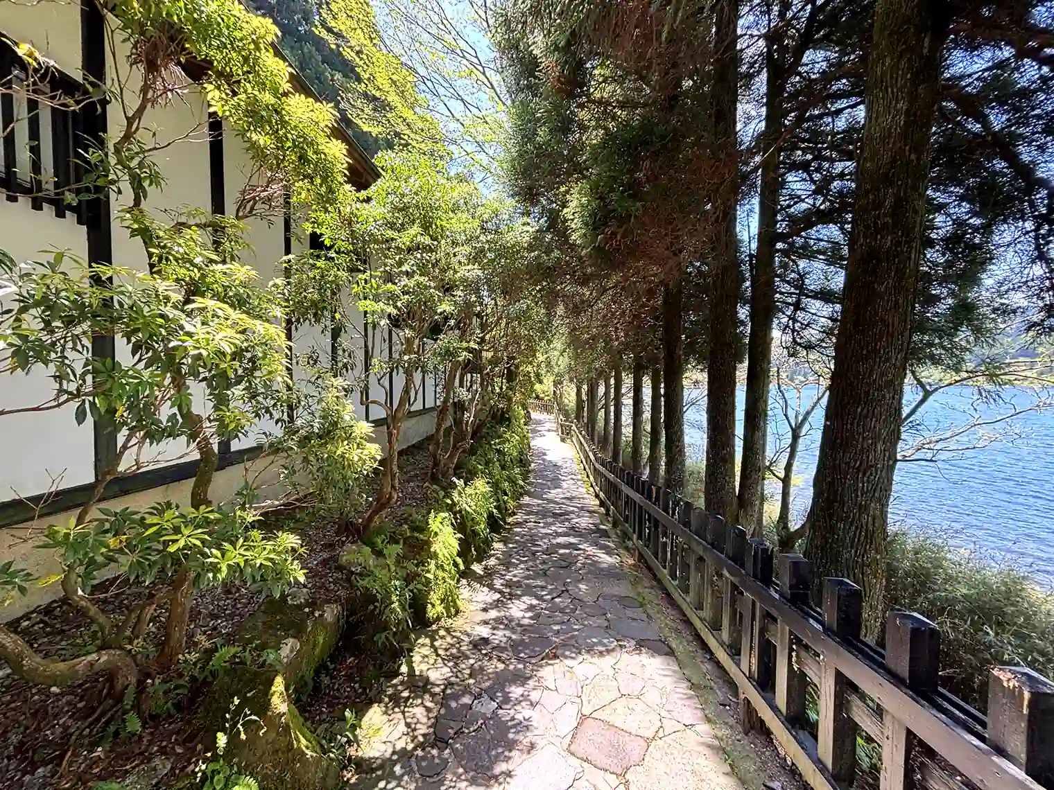 箱根関所へ向かう石畳路