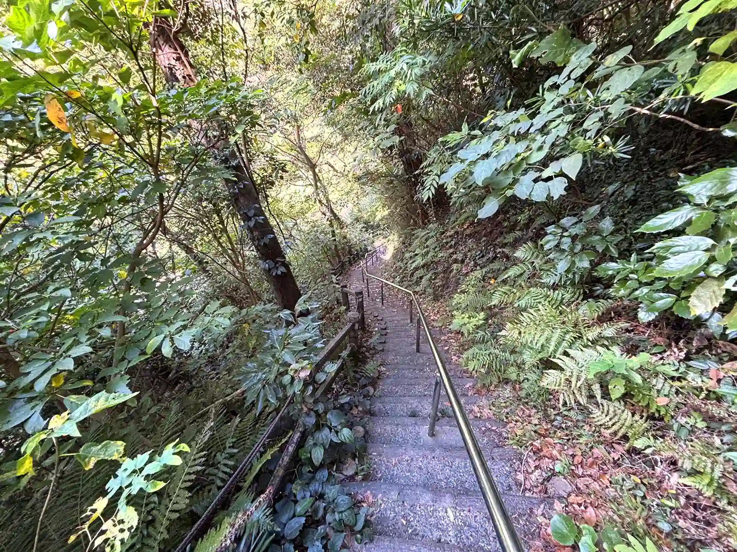 園内遊歩道