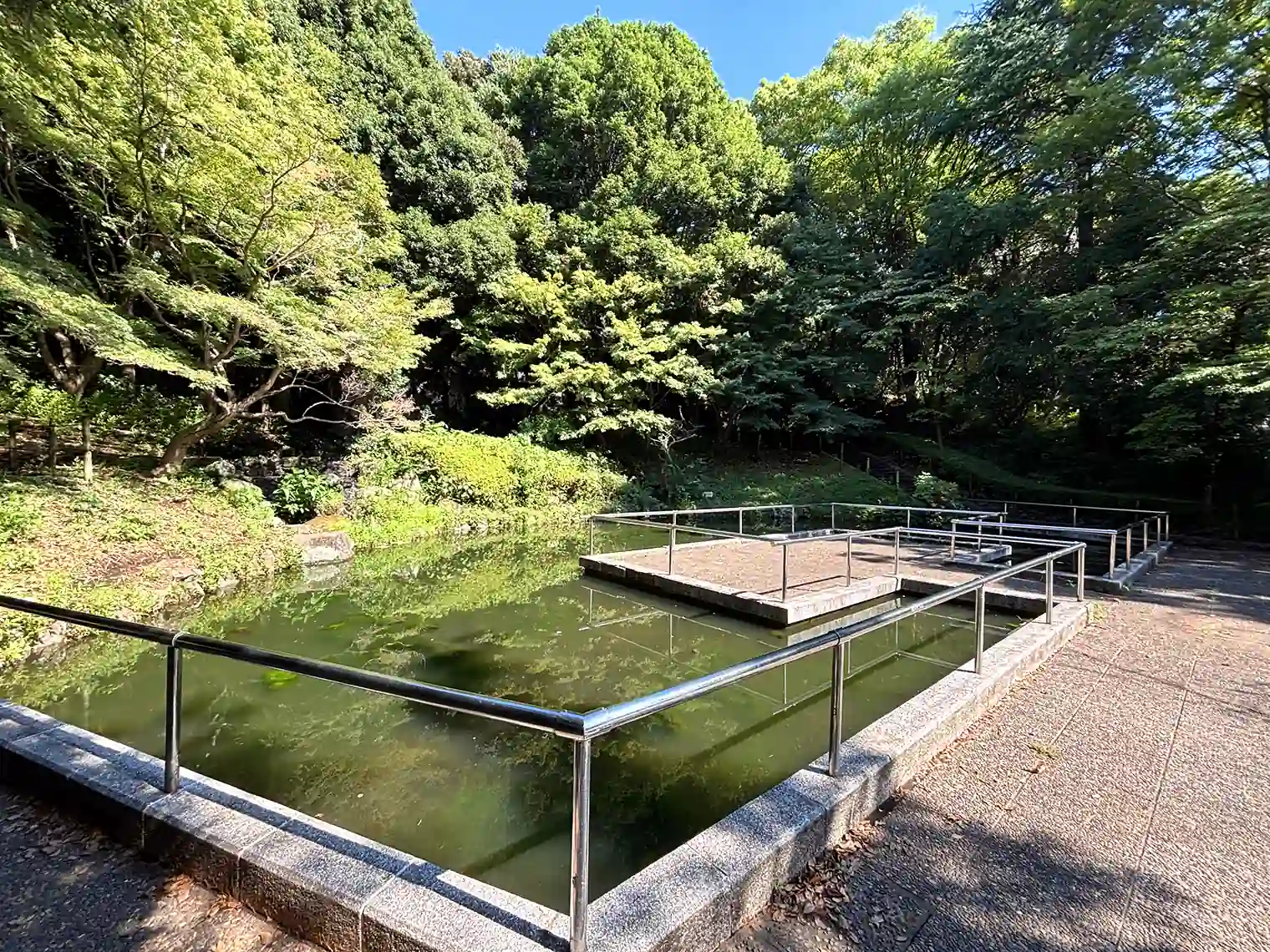 滝の広場