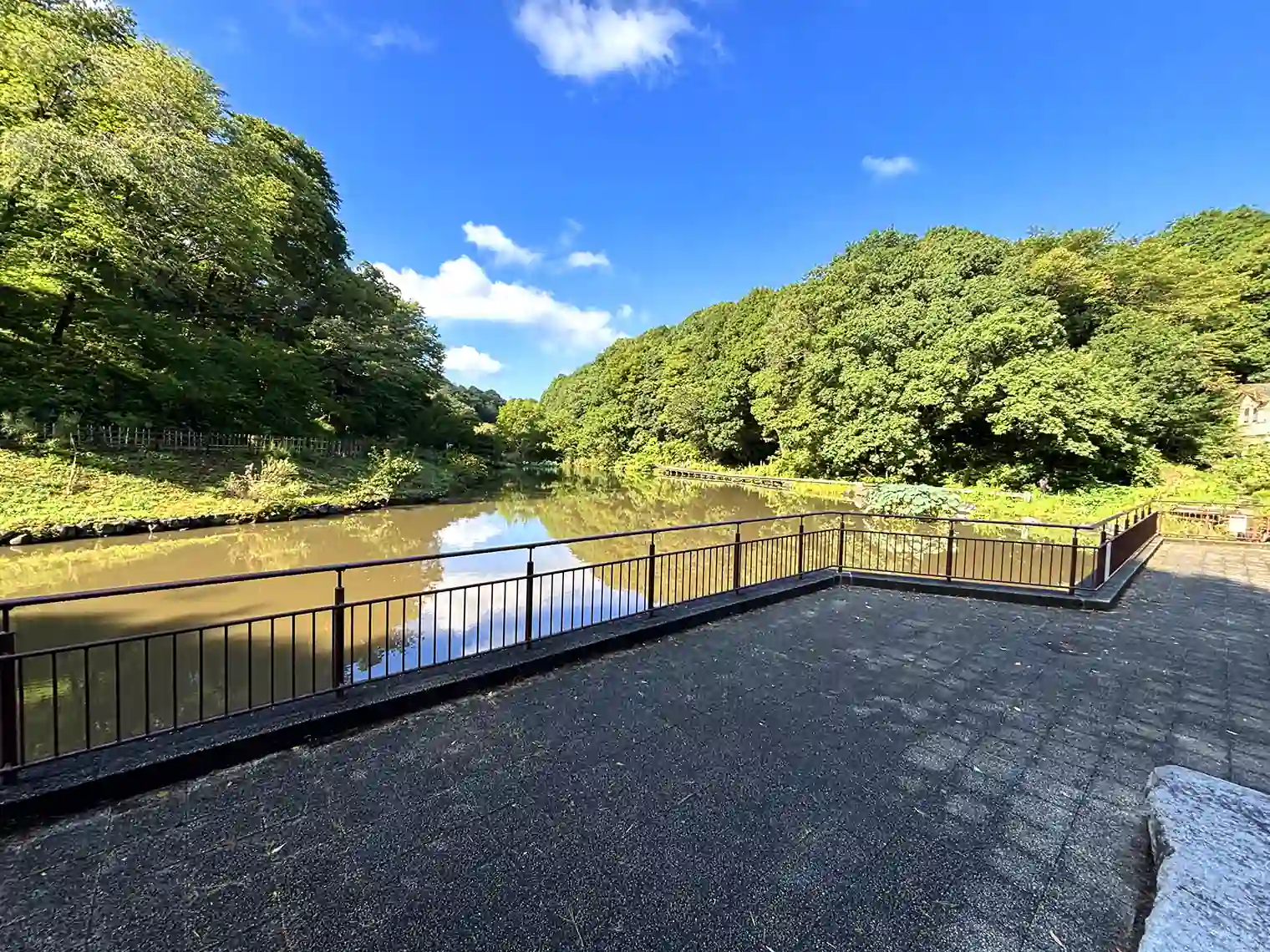 北口広場から見るはす池
