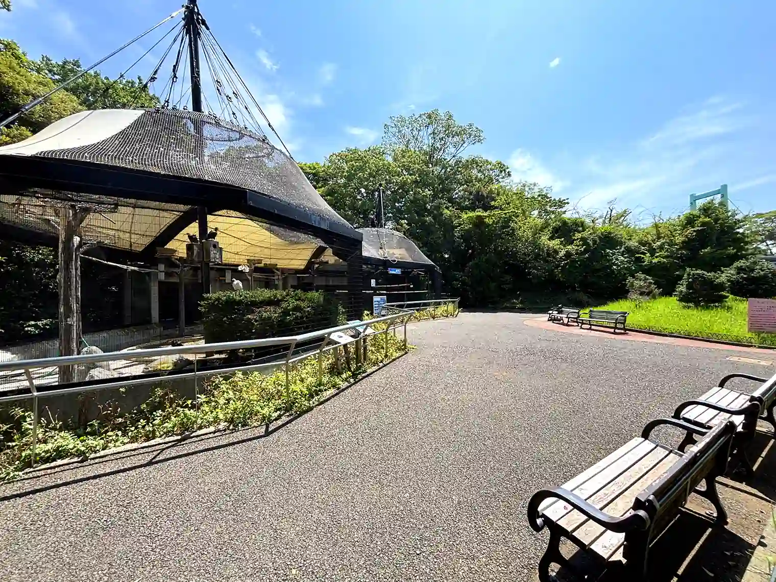 野毛山動物園内