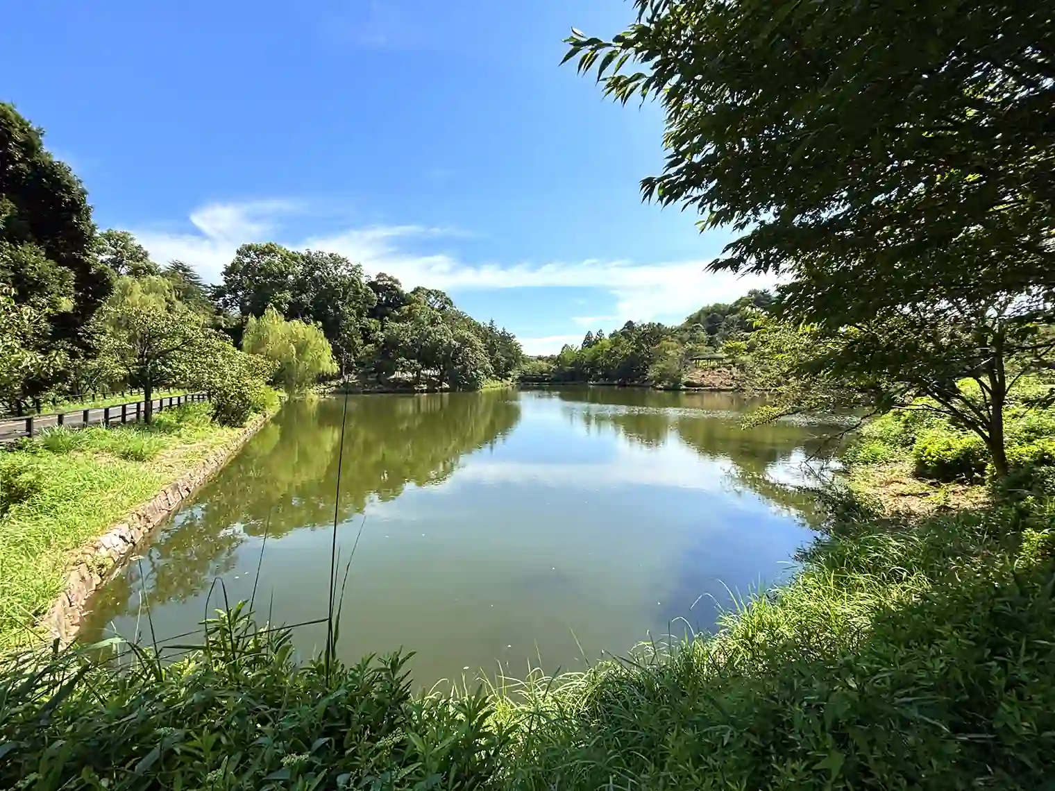 中の池