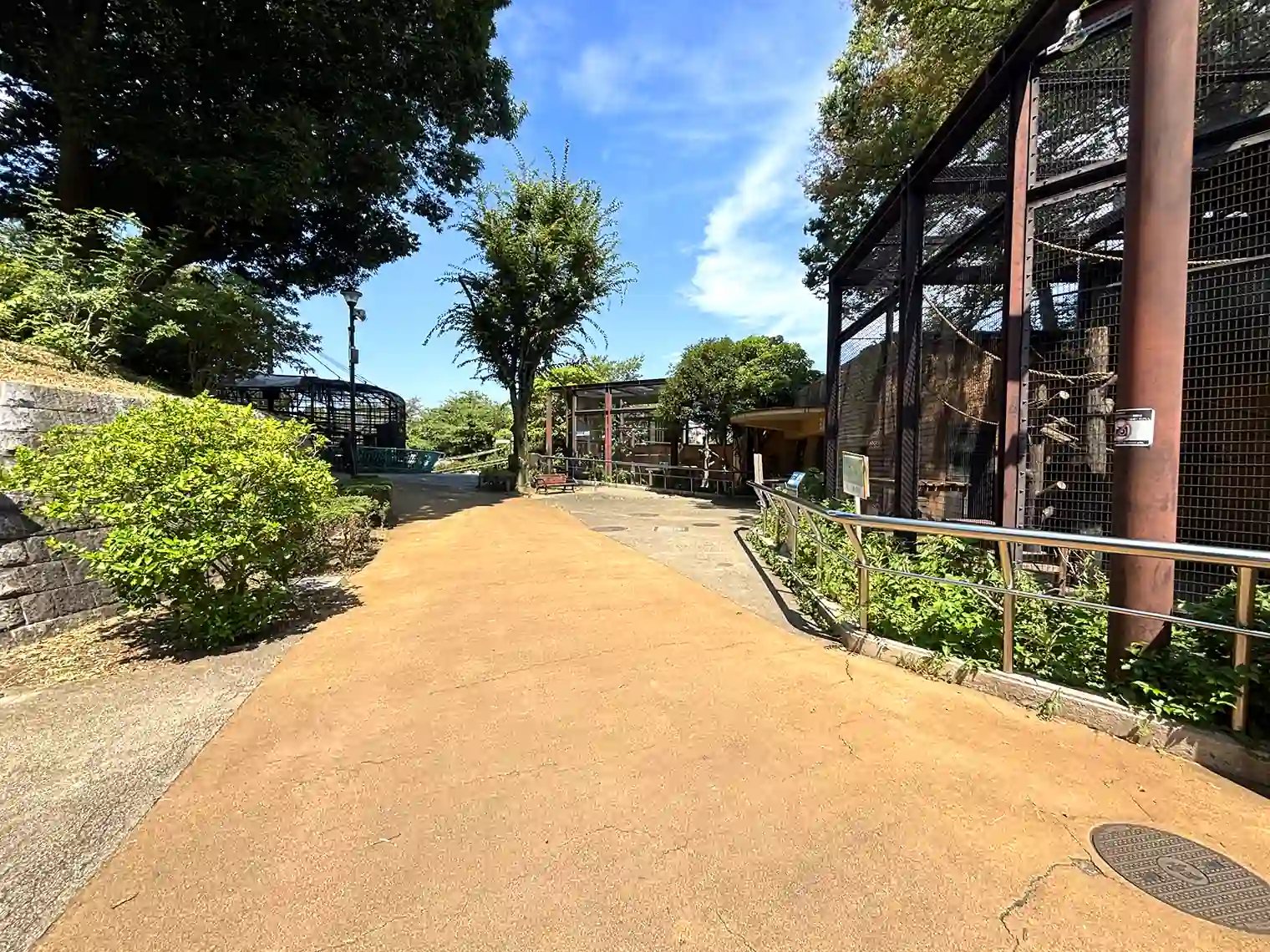 野毛山動物園内