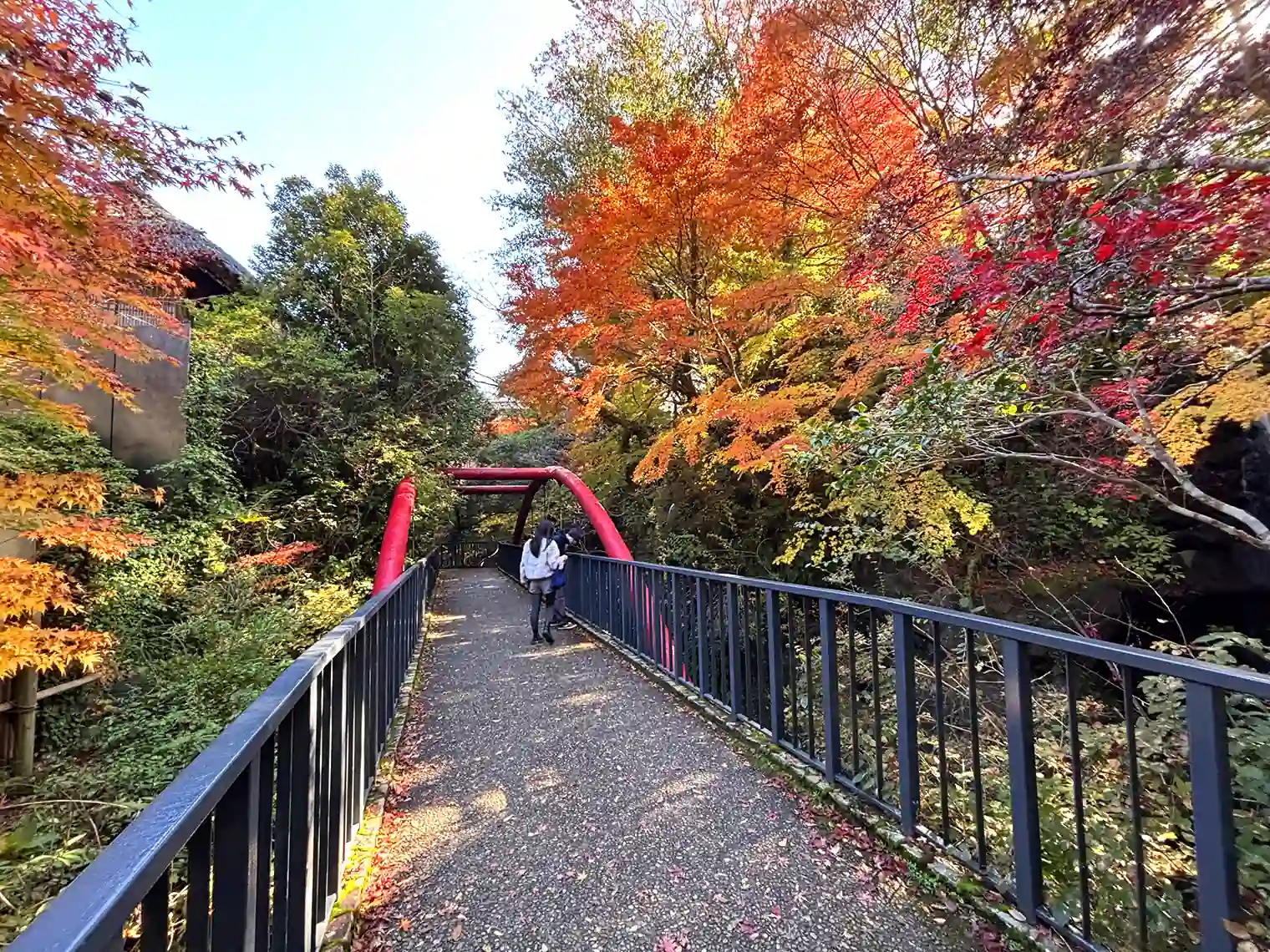 滝の前の橋