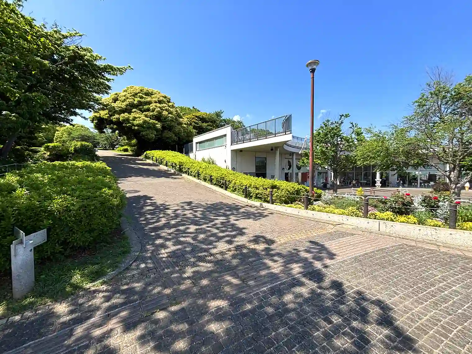 見晴らし山へ向かう坂道