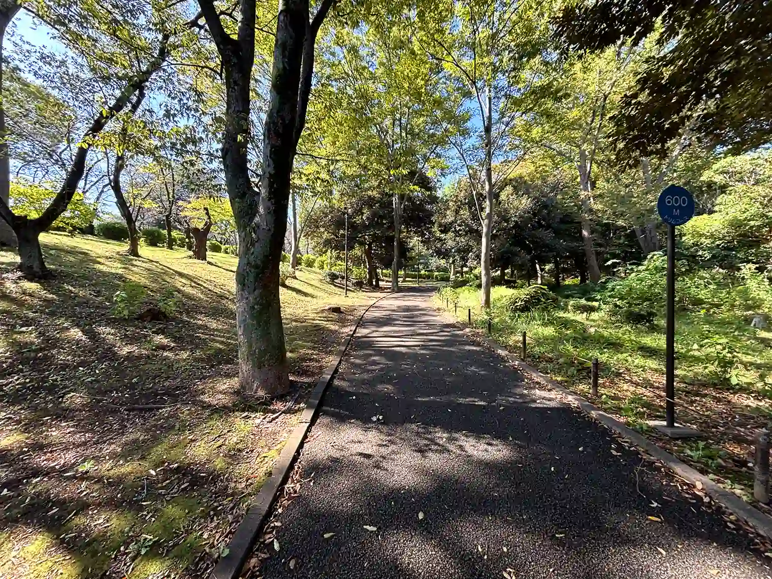 桜山の散策路