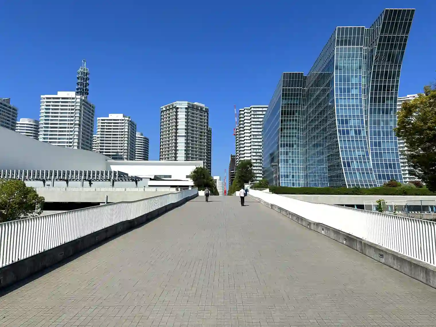 みなとみらいから公園へ伸びる道