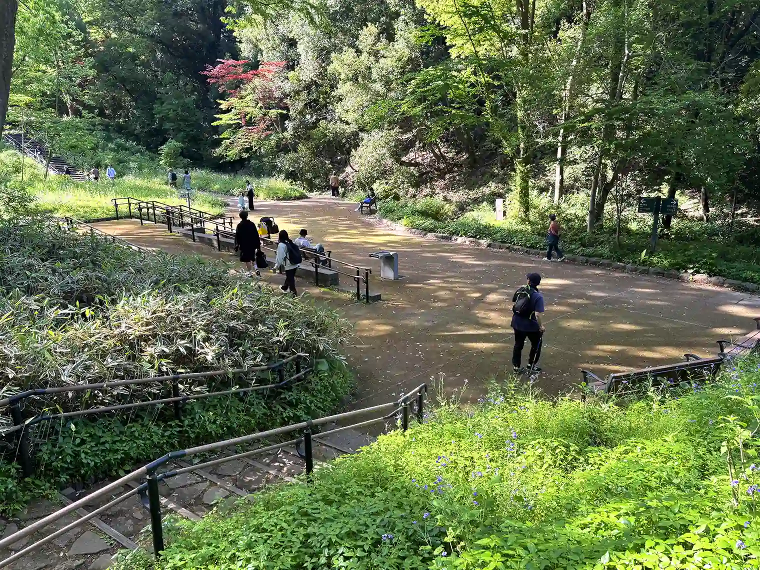 あきくさ広場