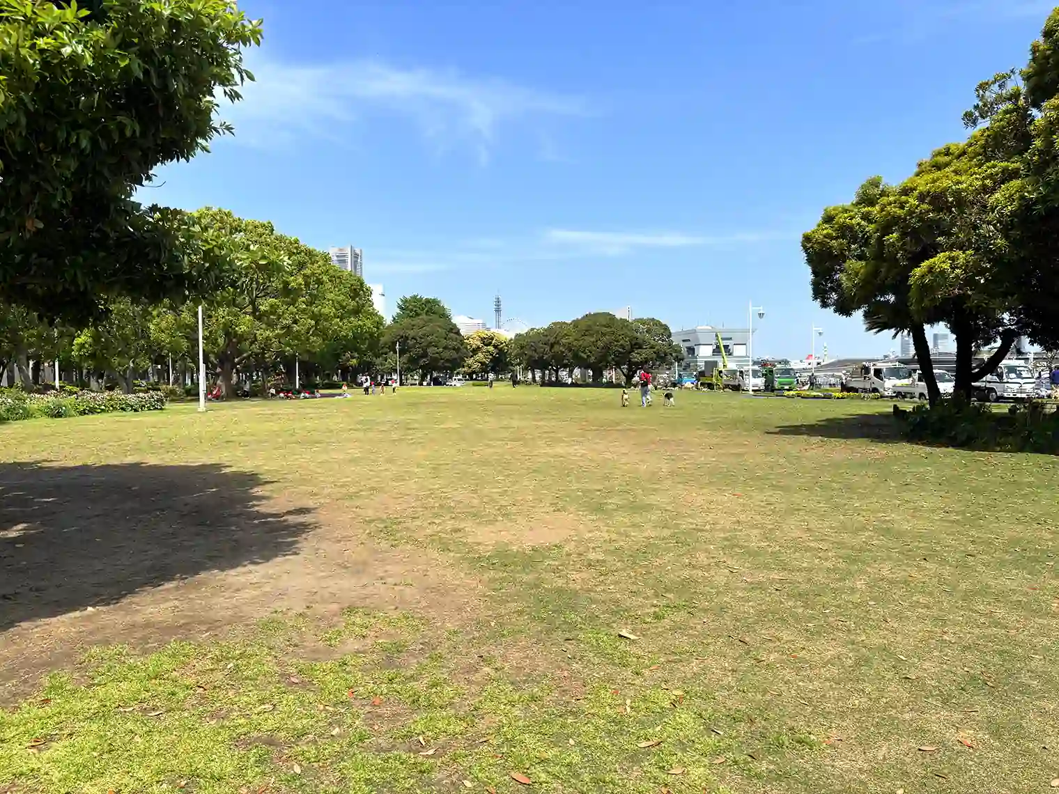 芝生広場