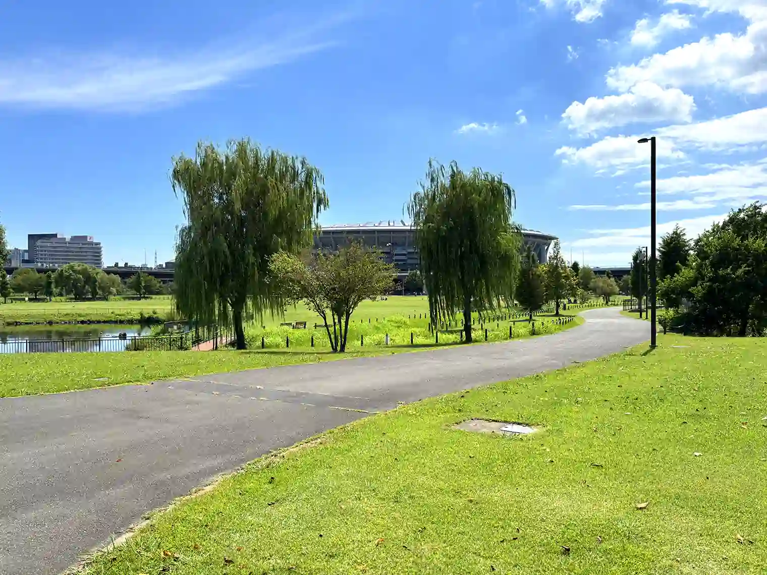 公園内遊歩道