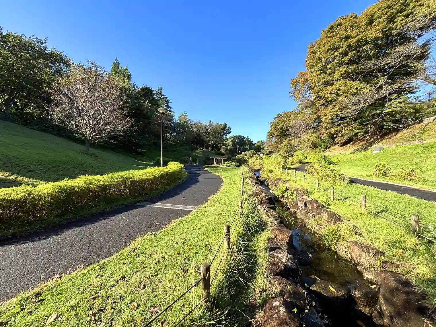 散策路と水路