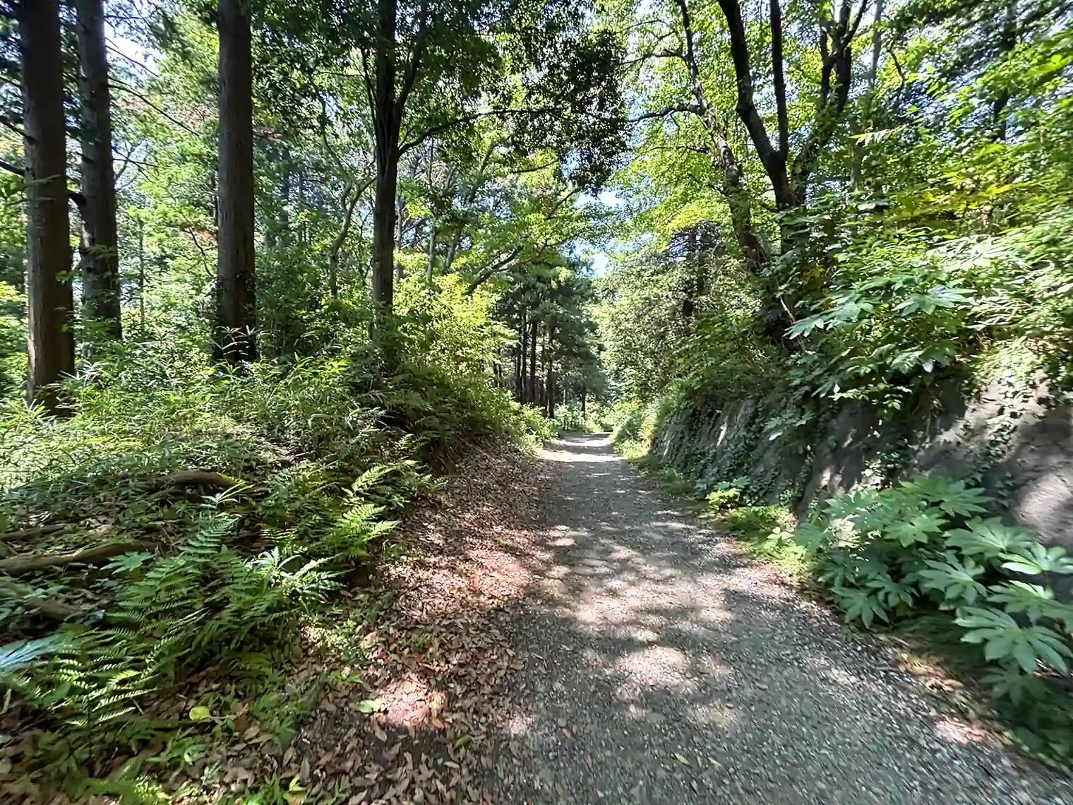遊歩道