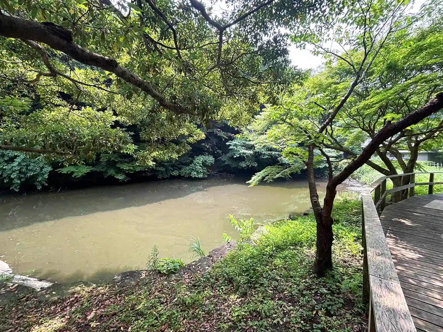 下池