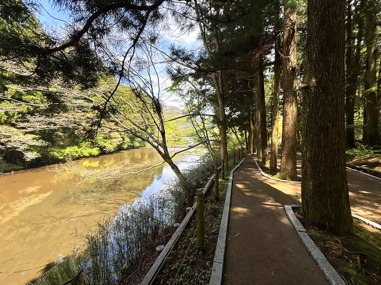 藤棚広場へ向かう遊歩道