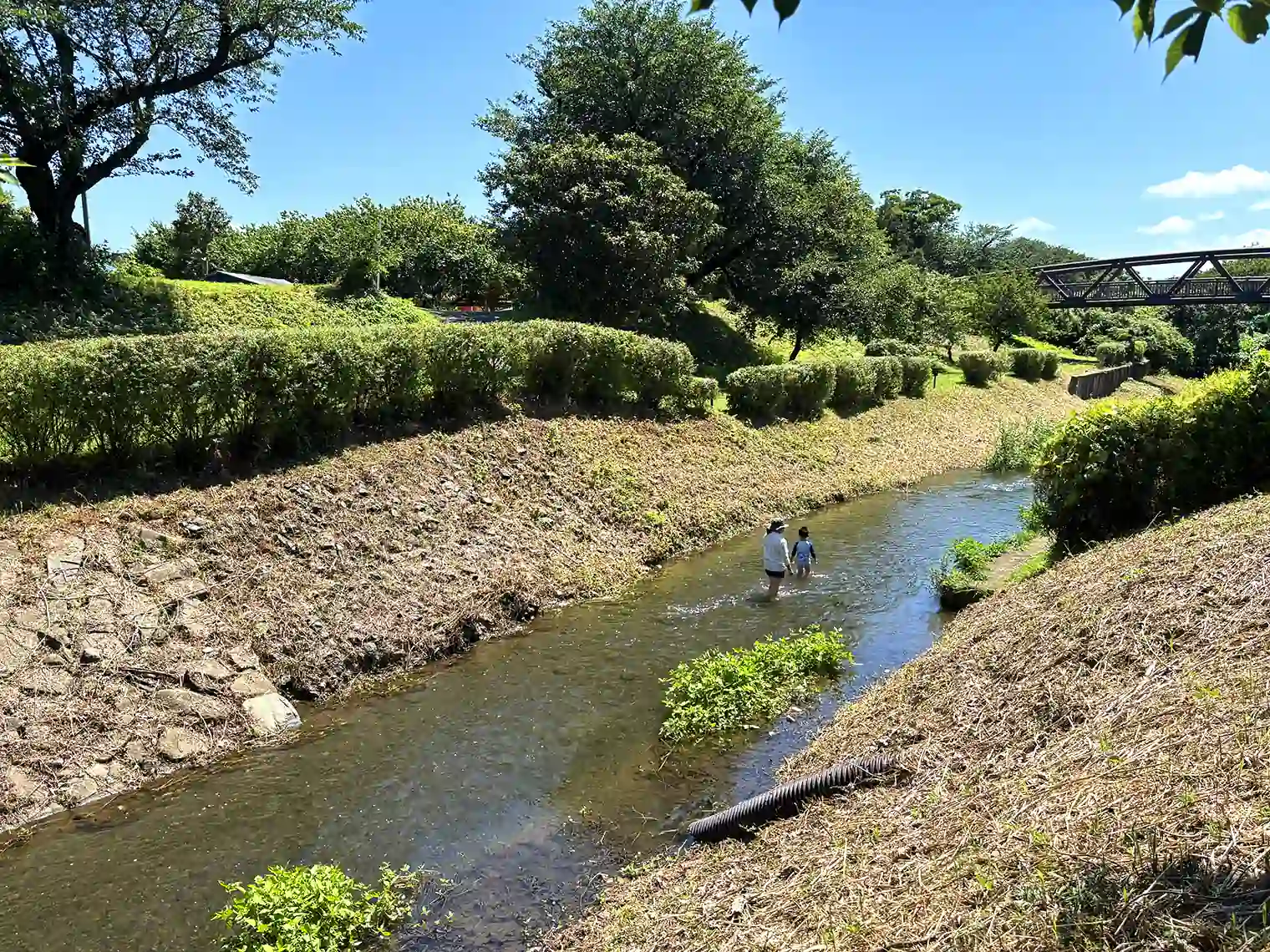 鳩川で遊ぶ親子