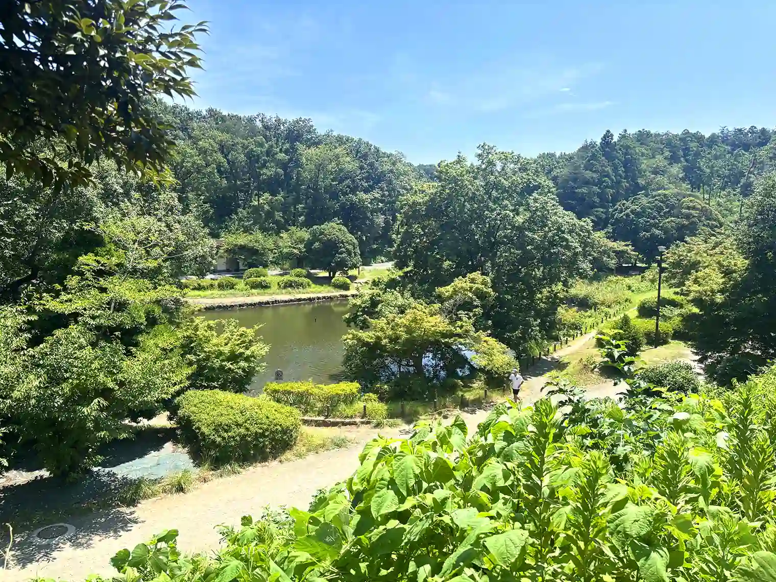 高台から見る大池