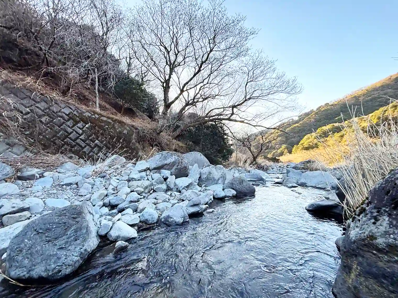 新﨑川