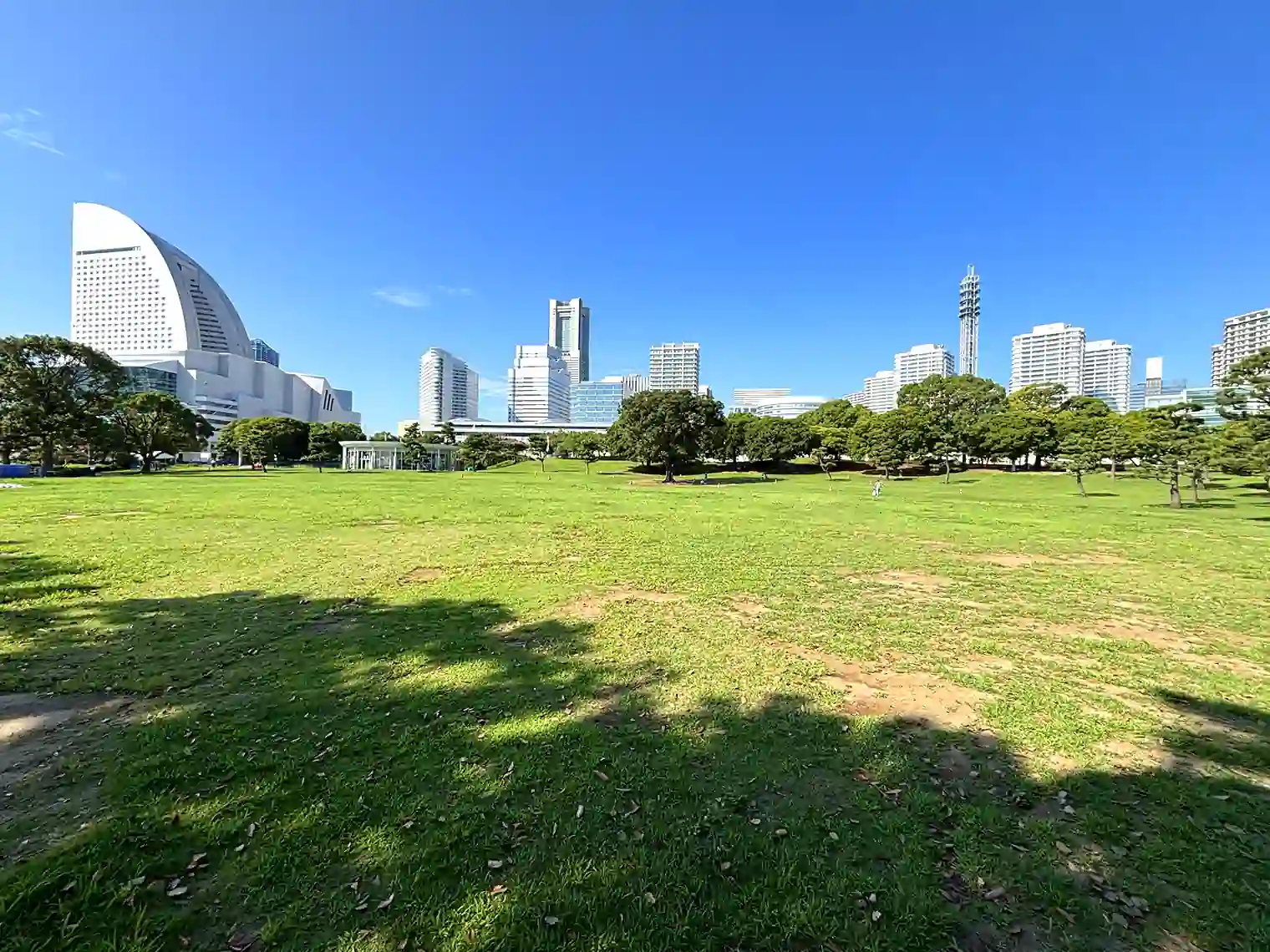 芝生広場