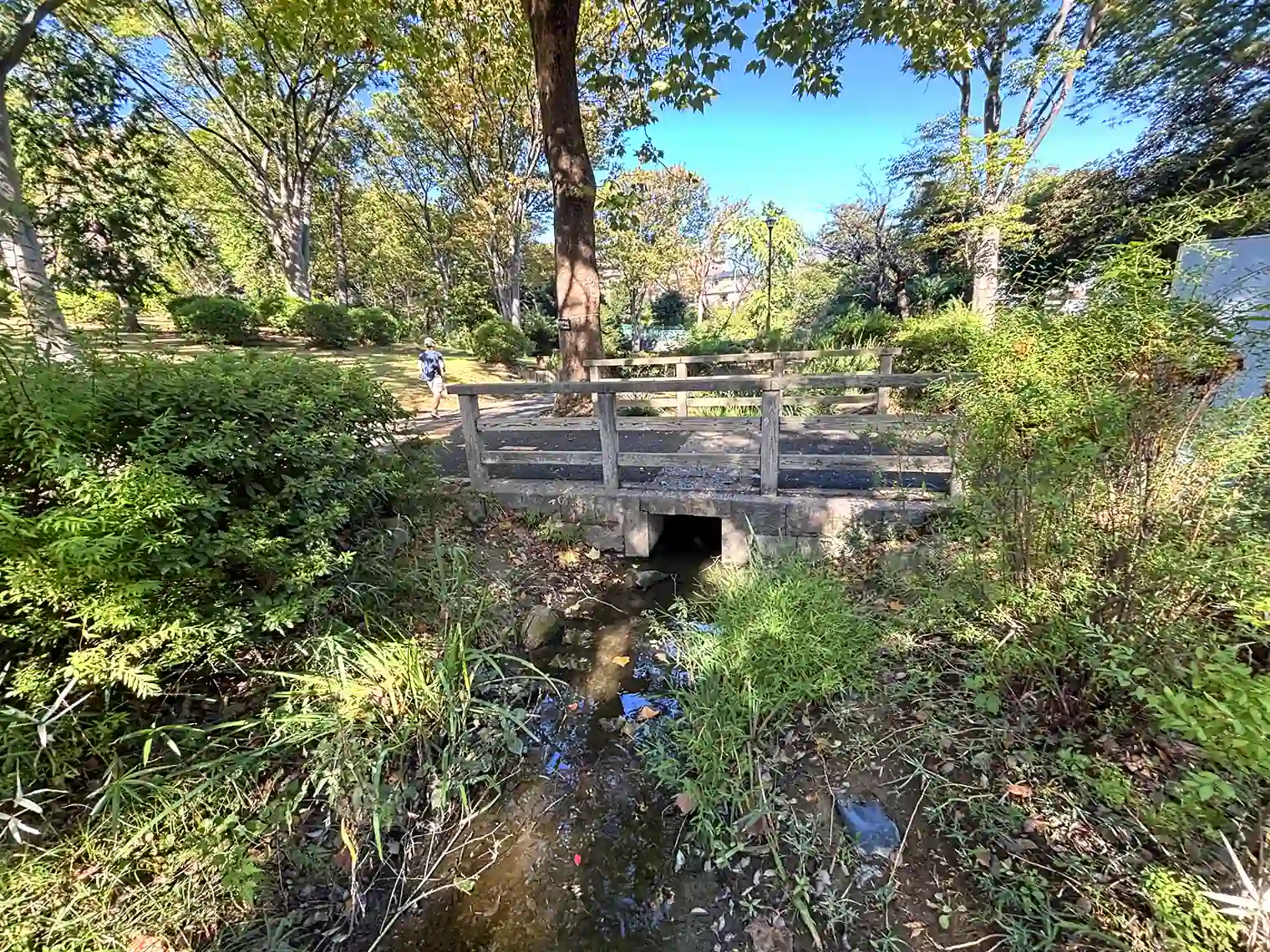 桜山下の水路