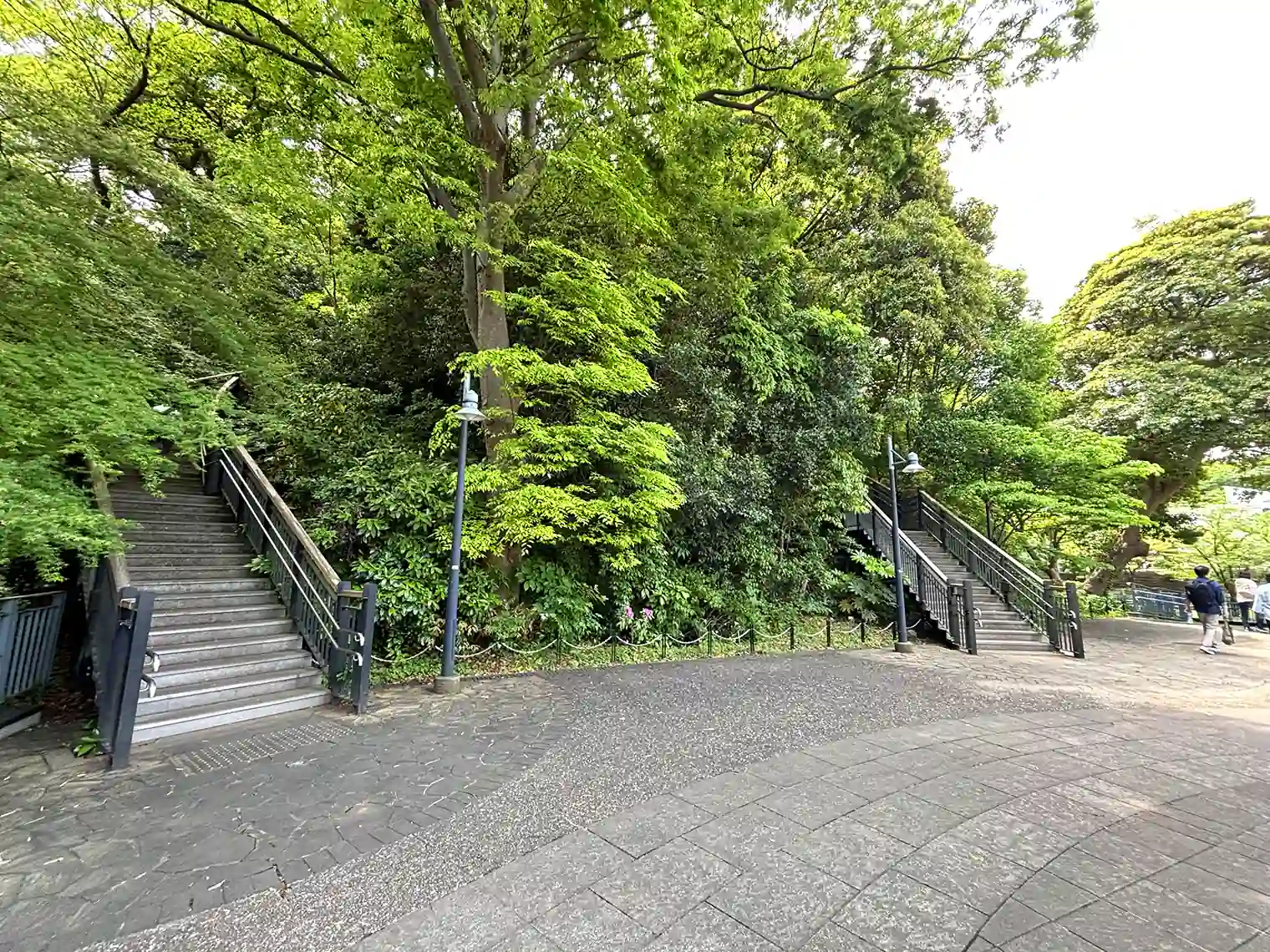 フランス山地区へ上る階段
