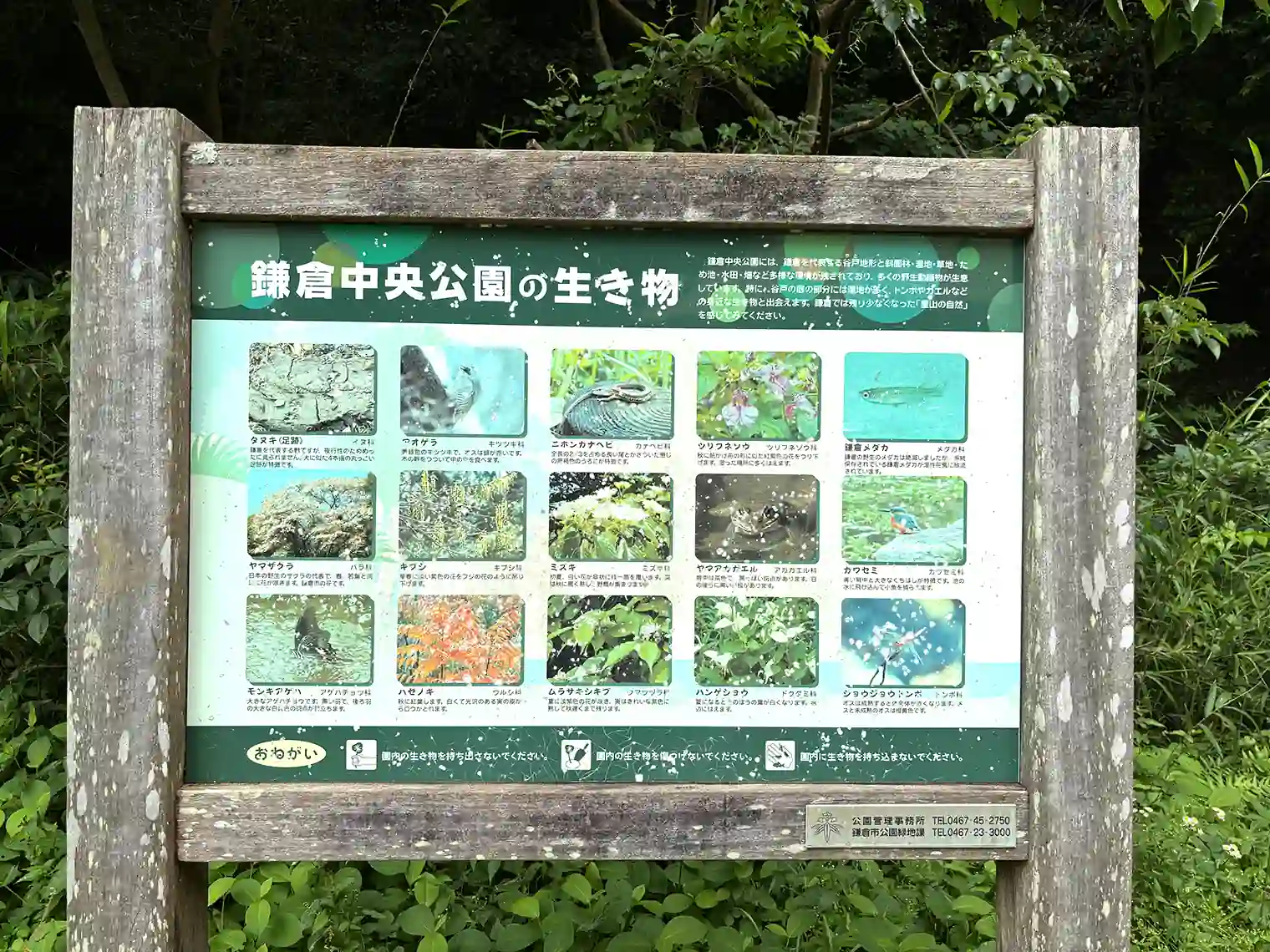 生き物案内板
