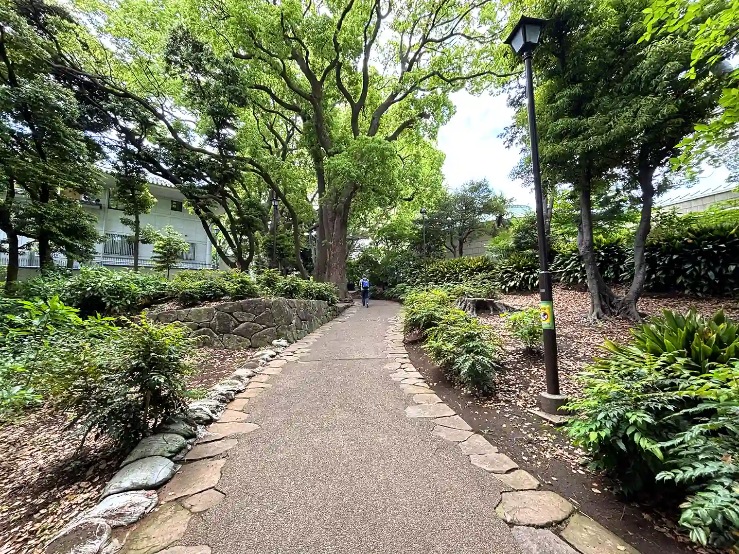 神奈川近代文学館裏の遊歩道