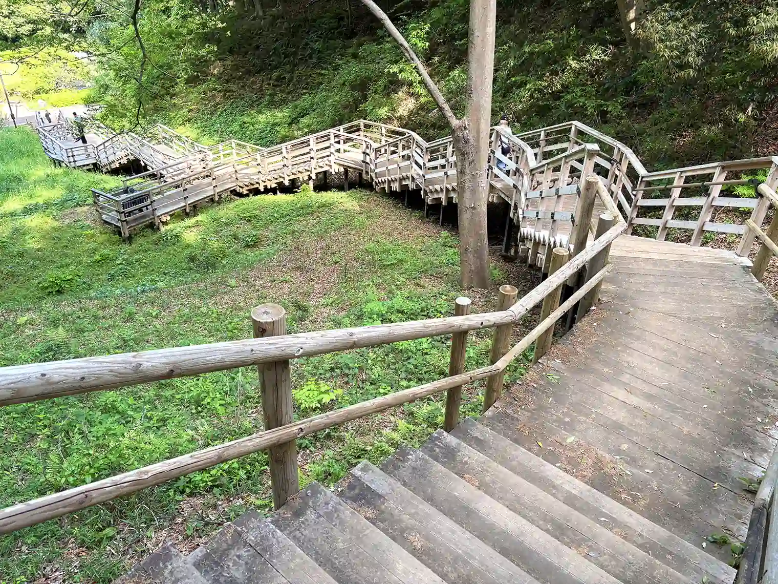 湿生植物園の木製階段