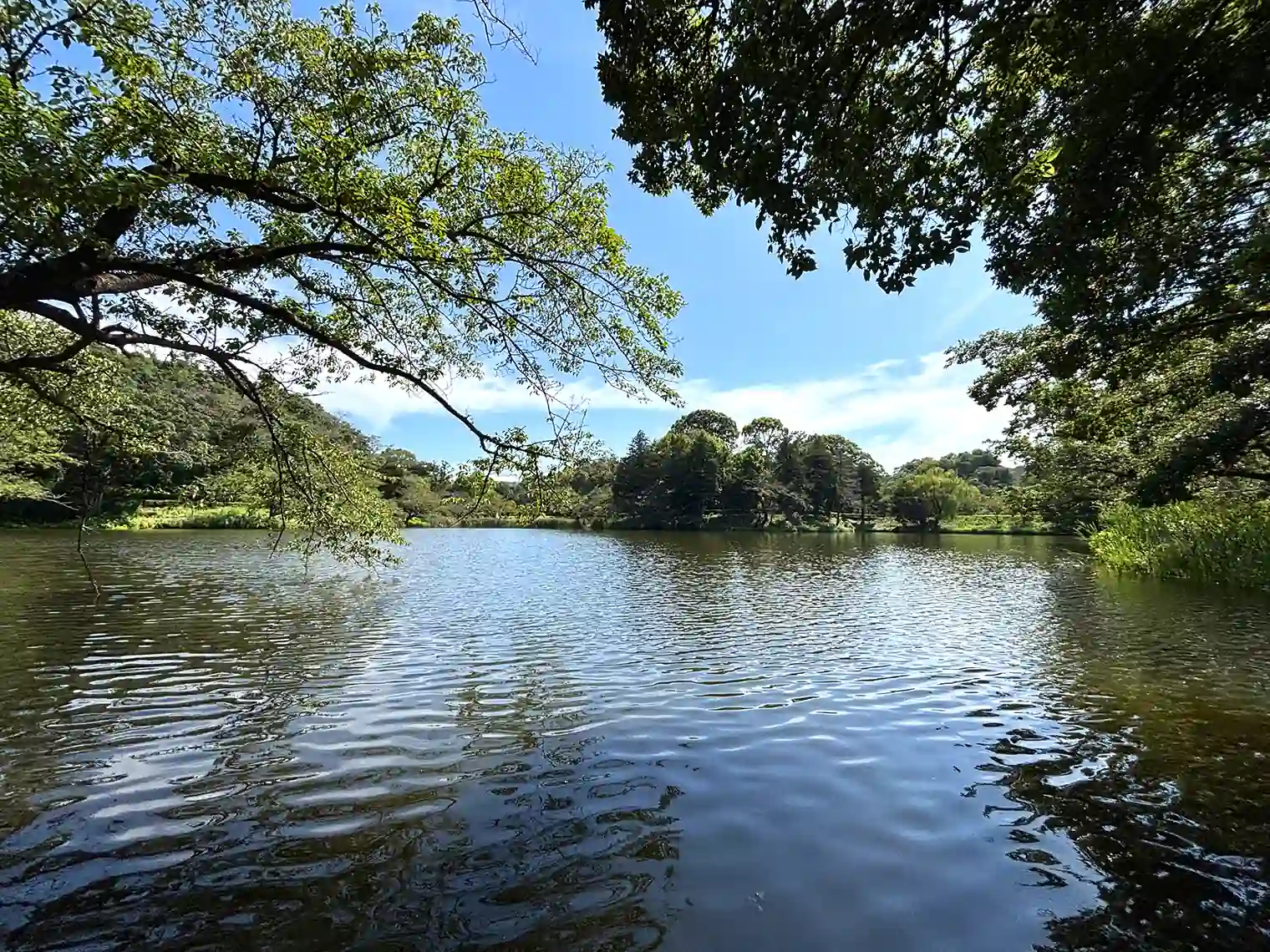 中の池