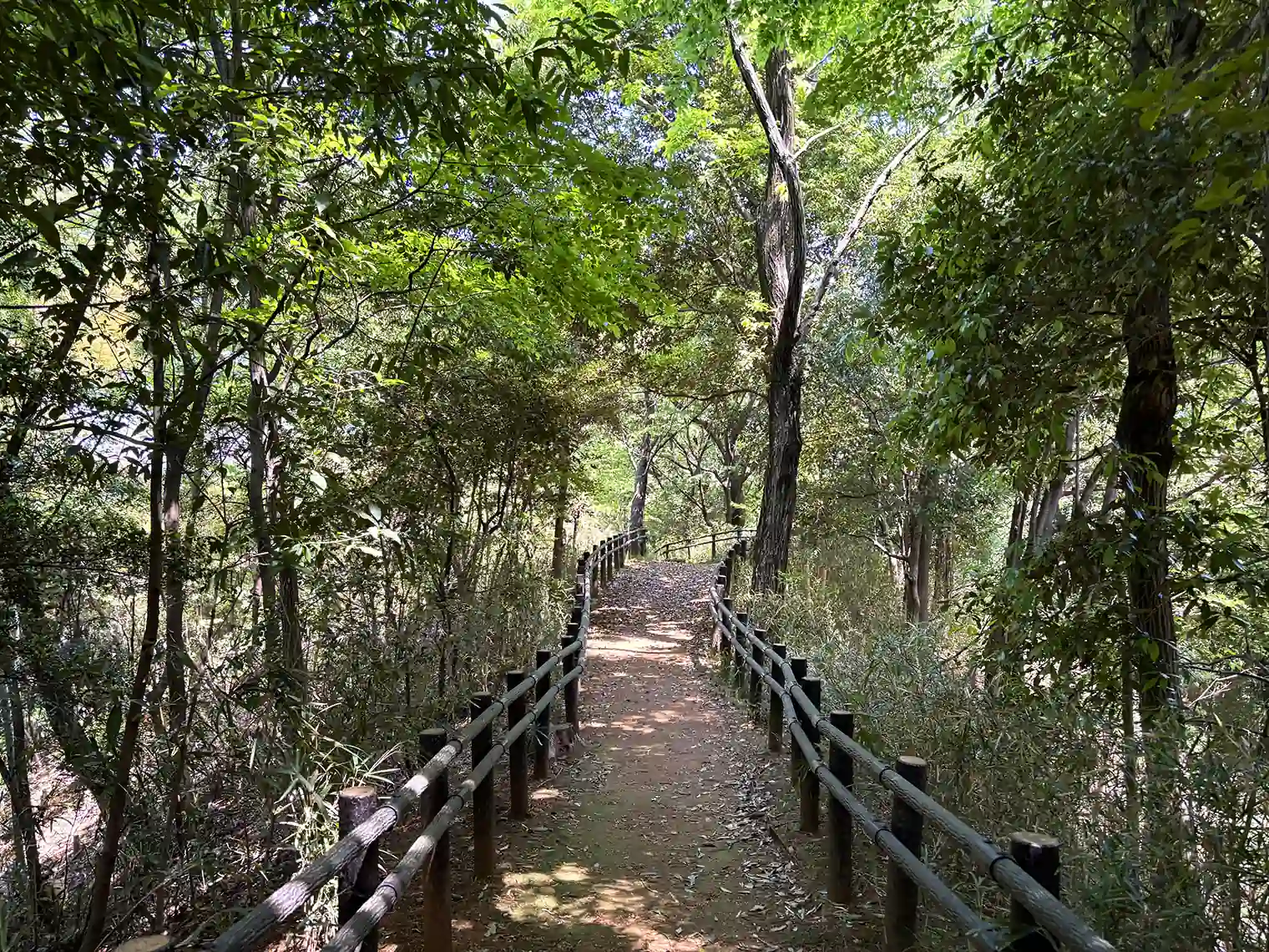 堰の谷戸付近山道