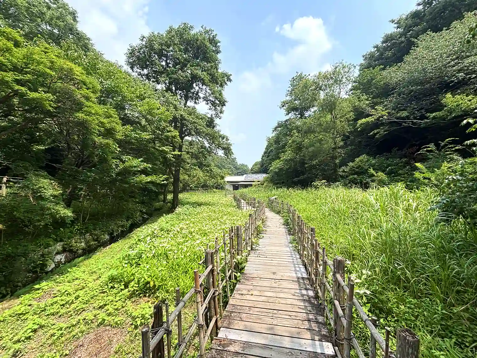 湿生花園