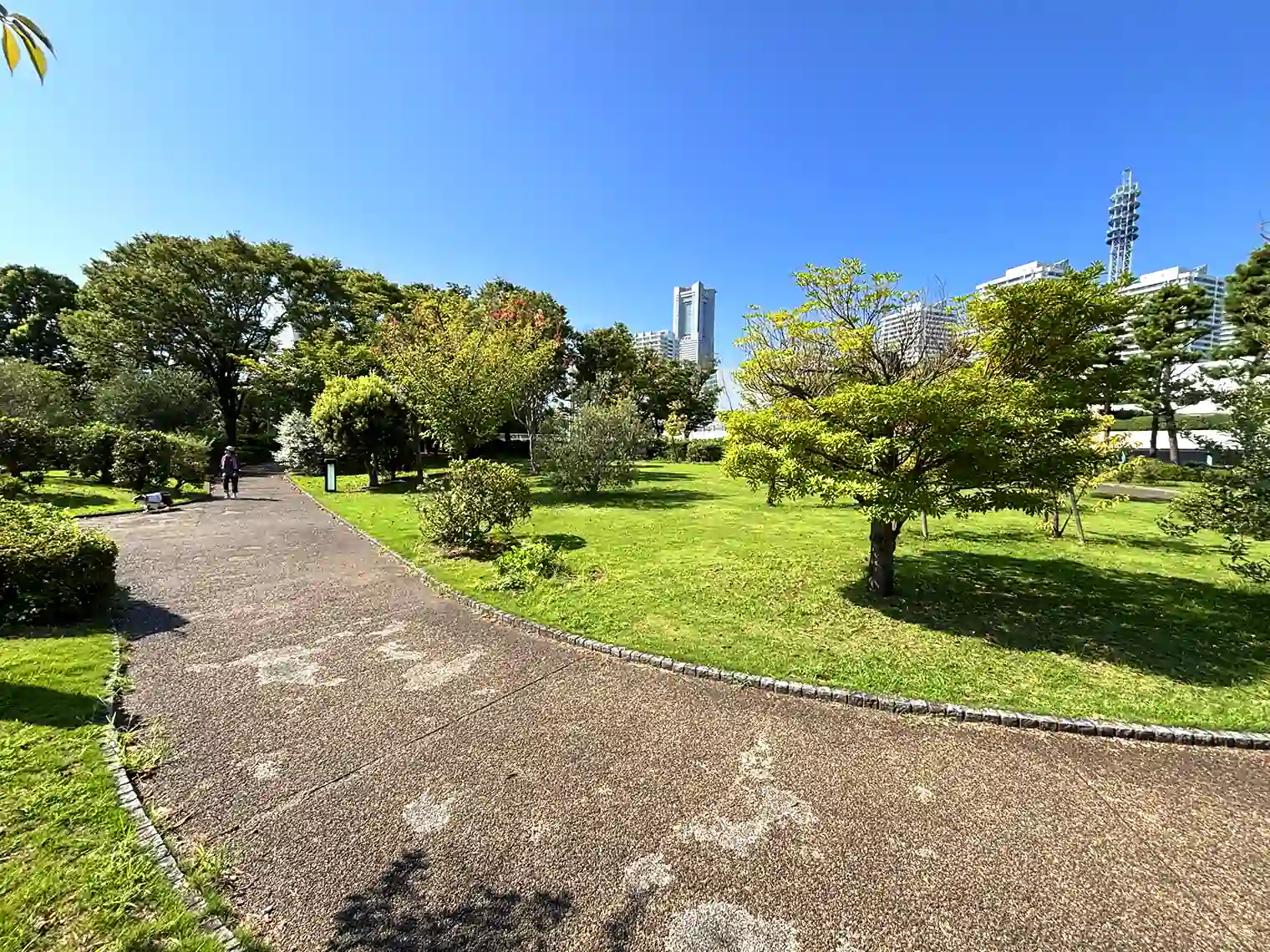 植栽広場
