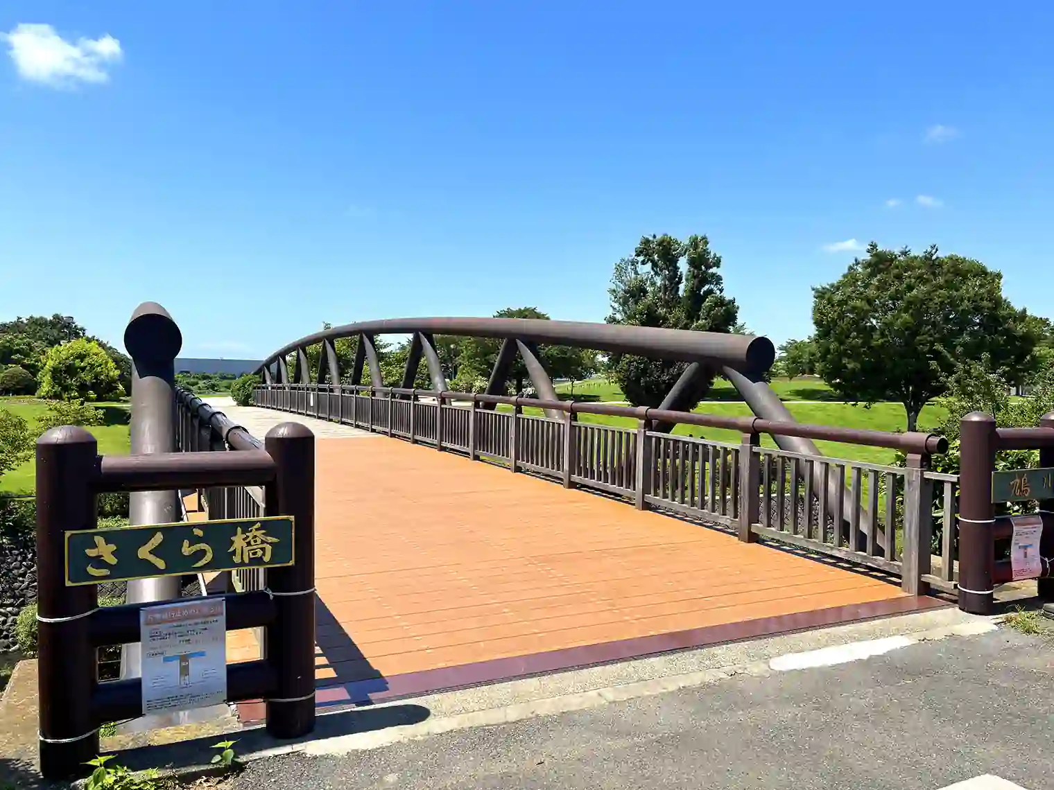 さくら橋