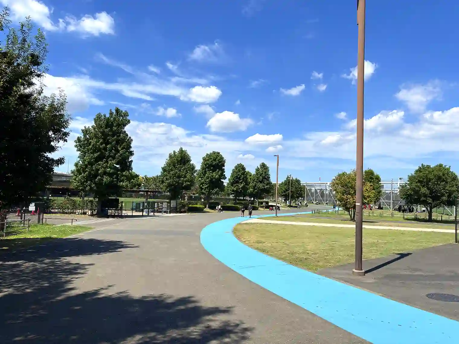 公園内遊歩道