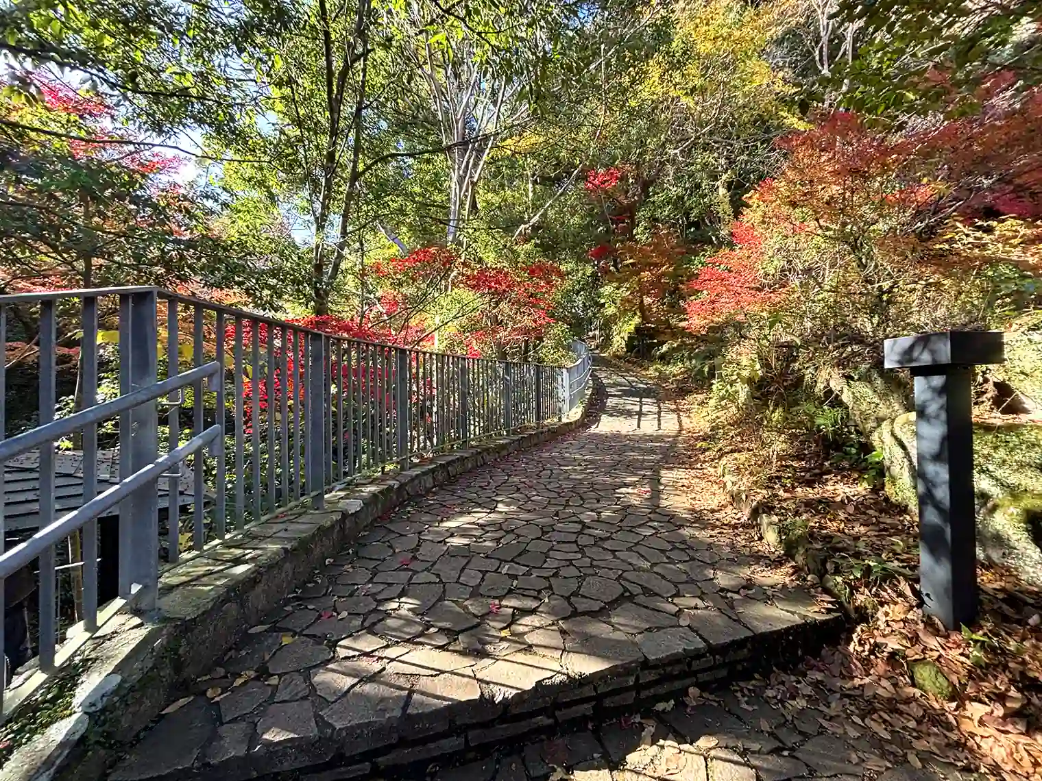 散策路
