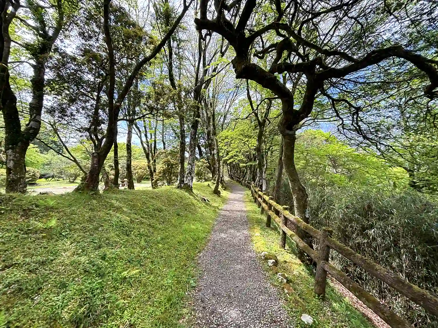 遊歩道