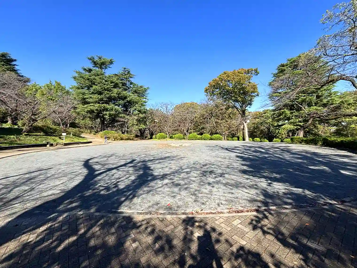 桜山の広場