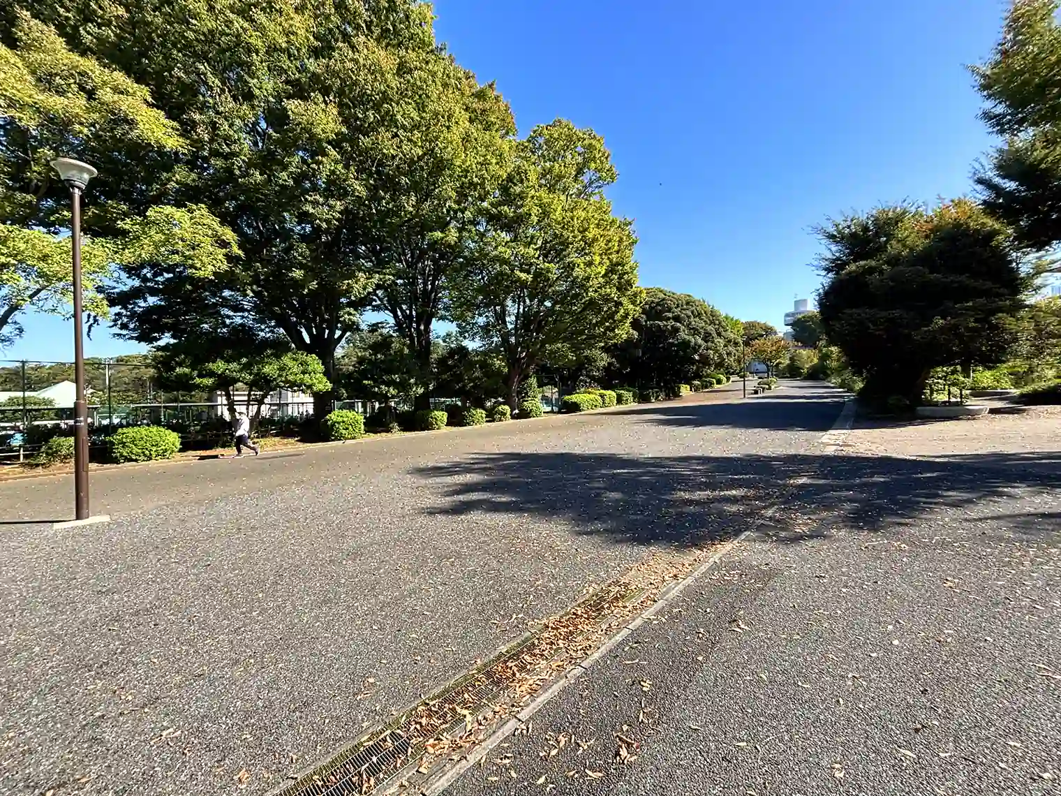 ニッパツ三ツ沢球技場前の遊歩道