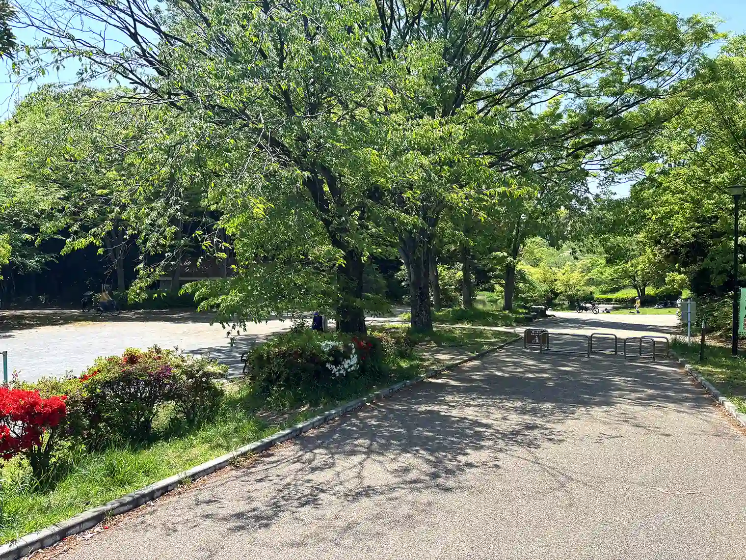 遊歩道