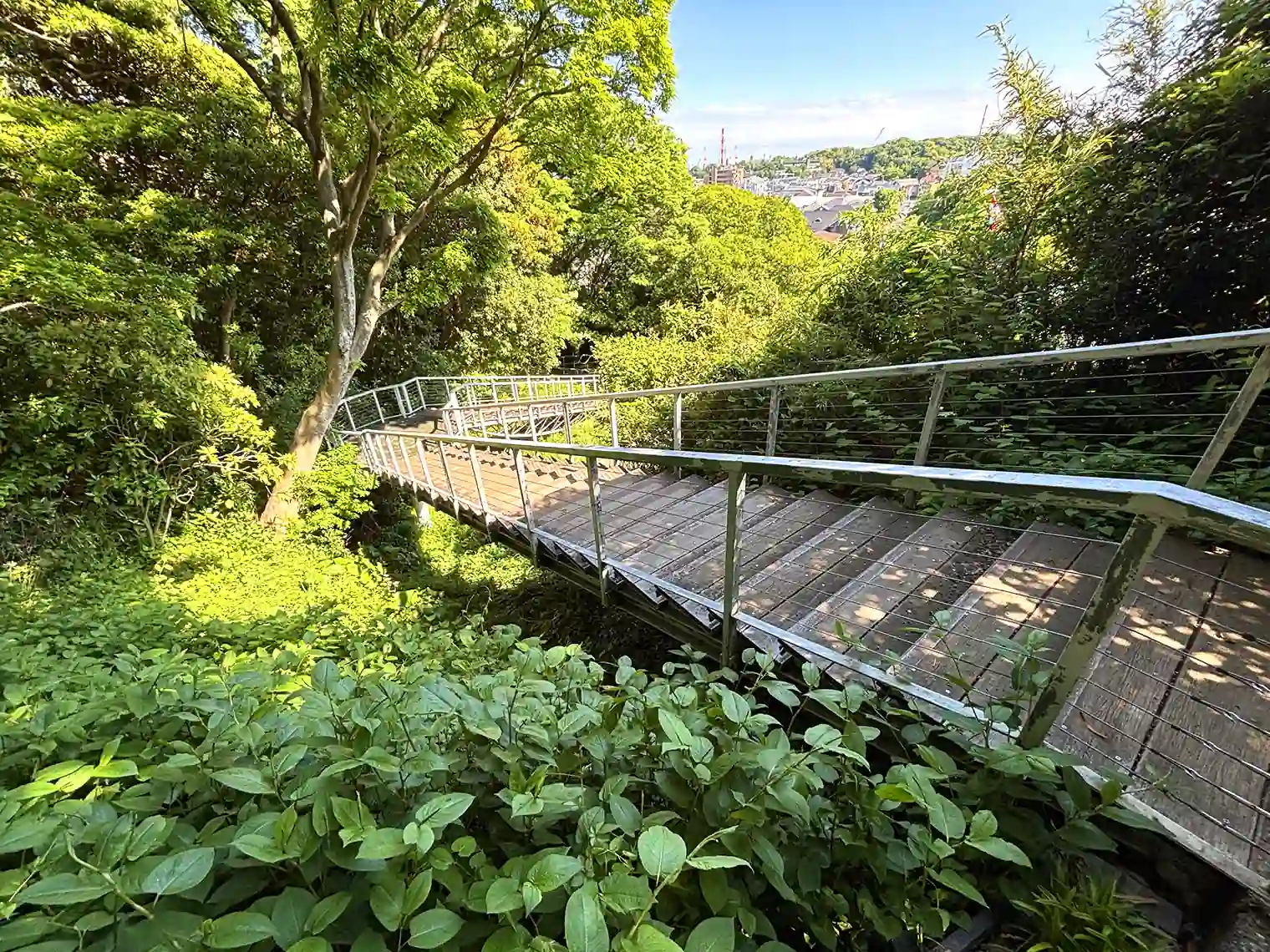 木製遊歩道