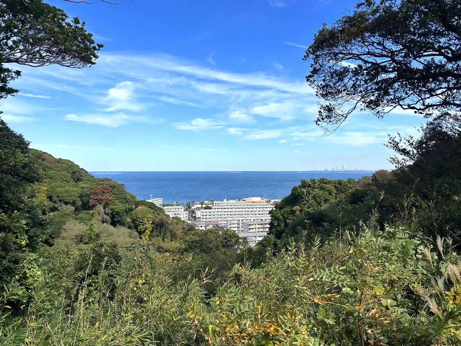 見晴らし場所