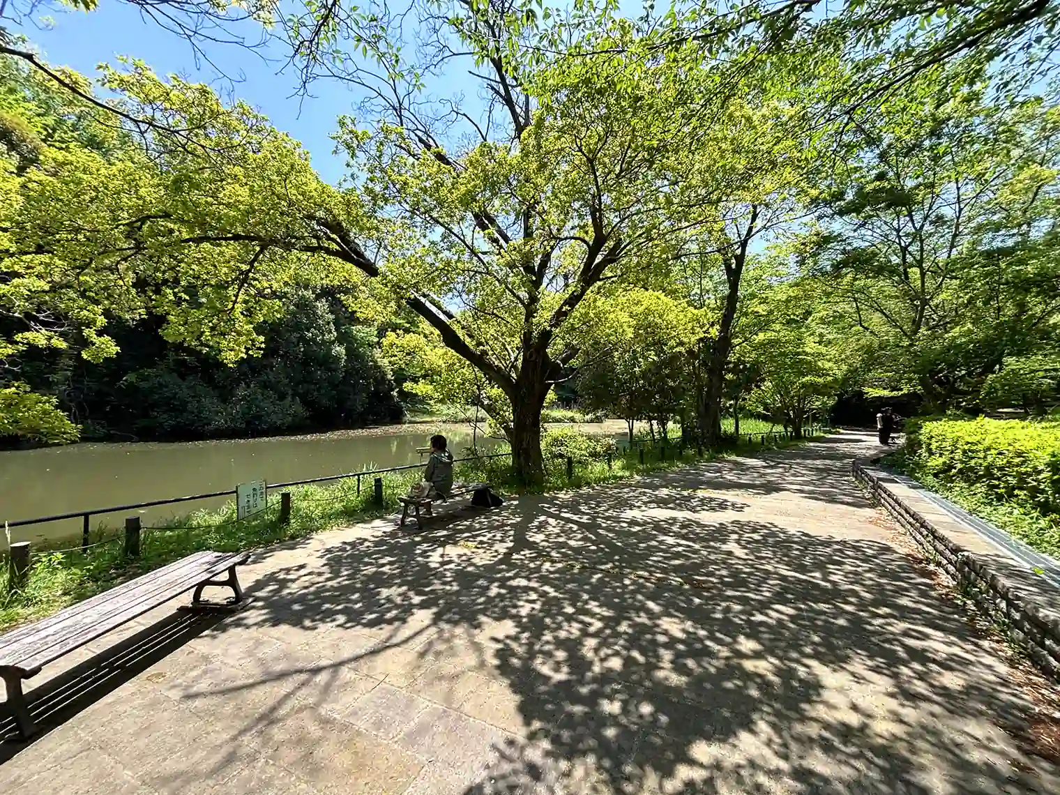 鴨池横の遊歩道